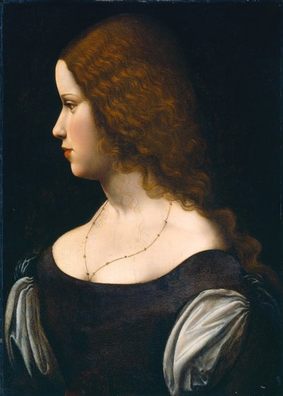 Portrait of a Young Lady by Leonardo da Vinci